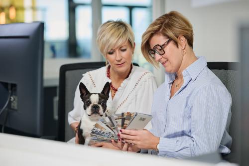 Conception d'ameublement en Province de Liège, Wallonie